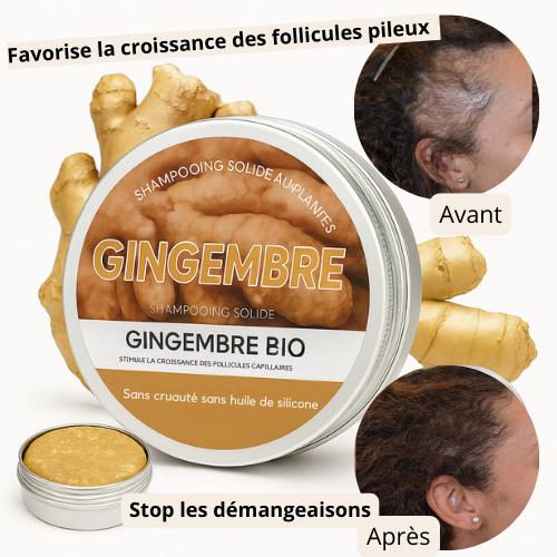 Shampooing organique au gingembre